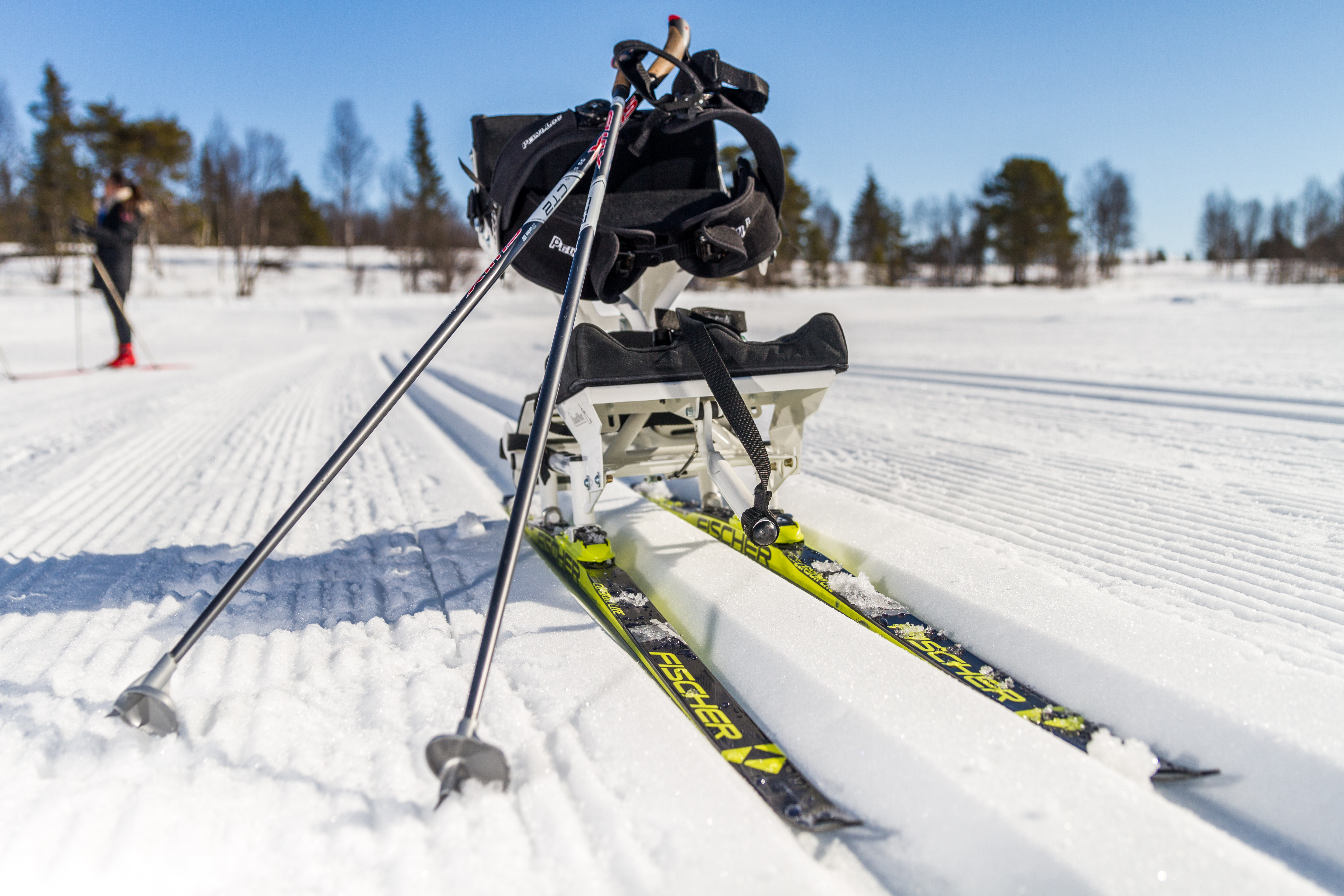 Bilde av sit-ski utstyr. 