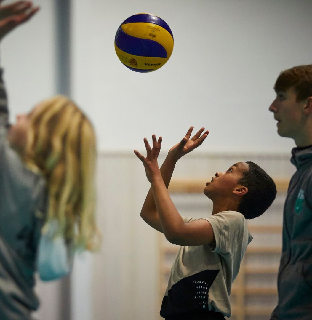 Norges Volleyballforbund