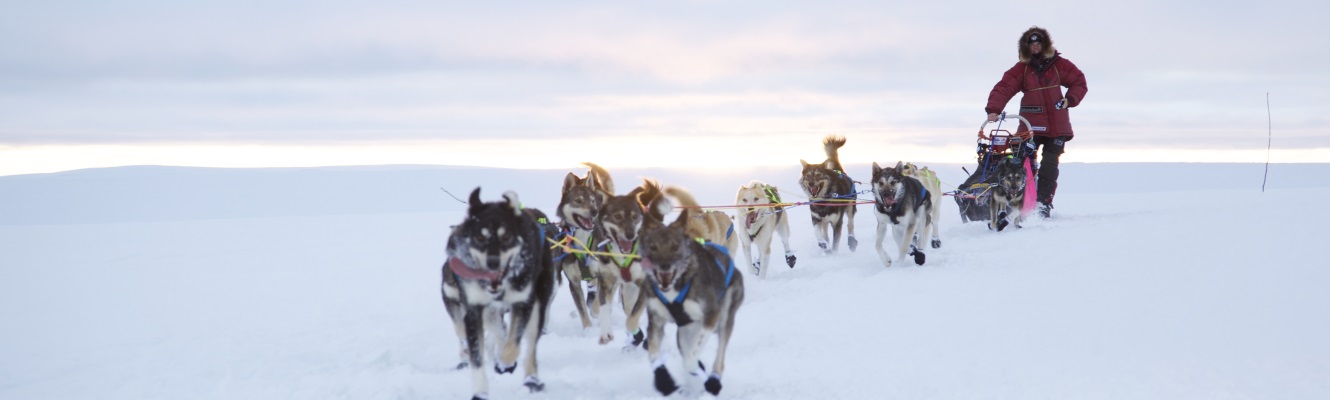 Finnmark idrettskrets